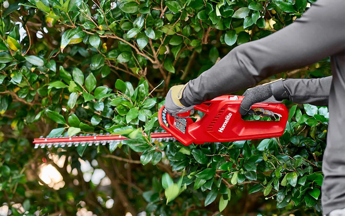 A worker trimming a shrub. A worker trimming a shrub.