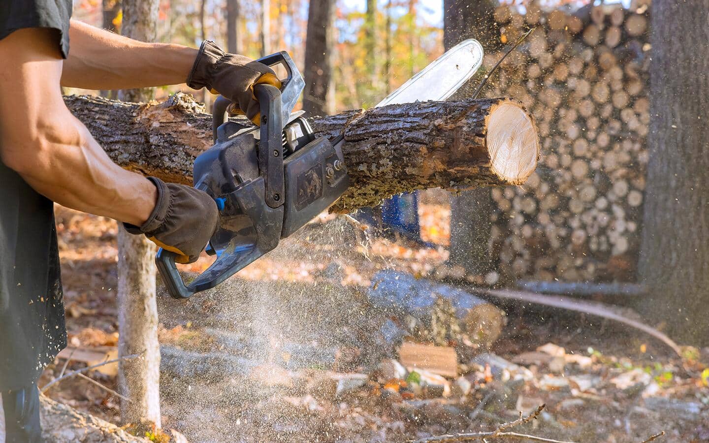 A person using a battery-operated chainsaw on lumber. A person using a battery-operated chainsaw on lumber.