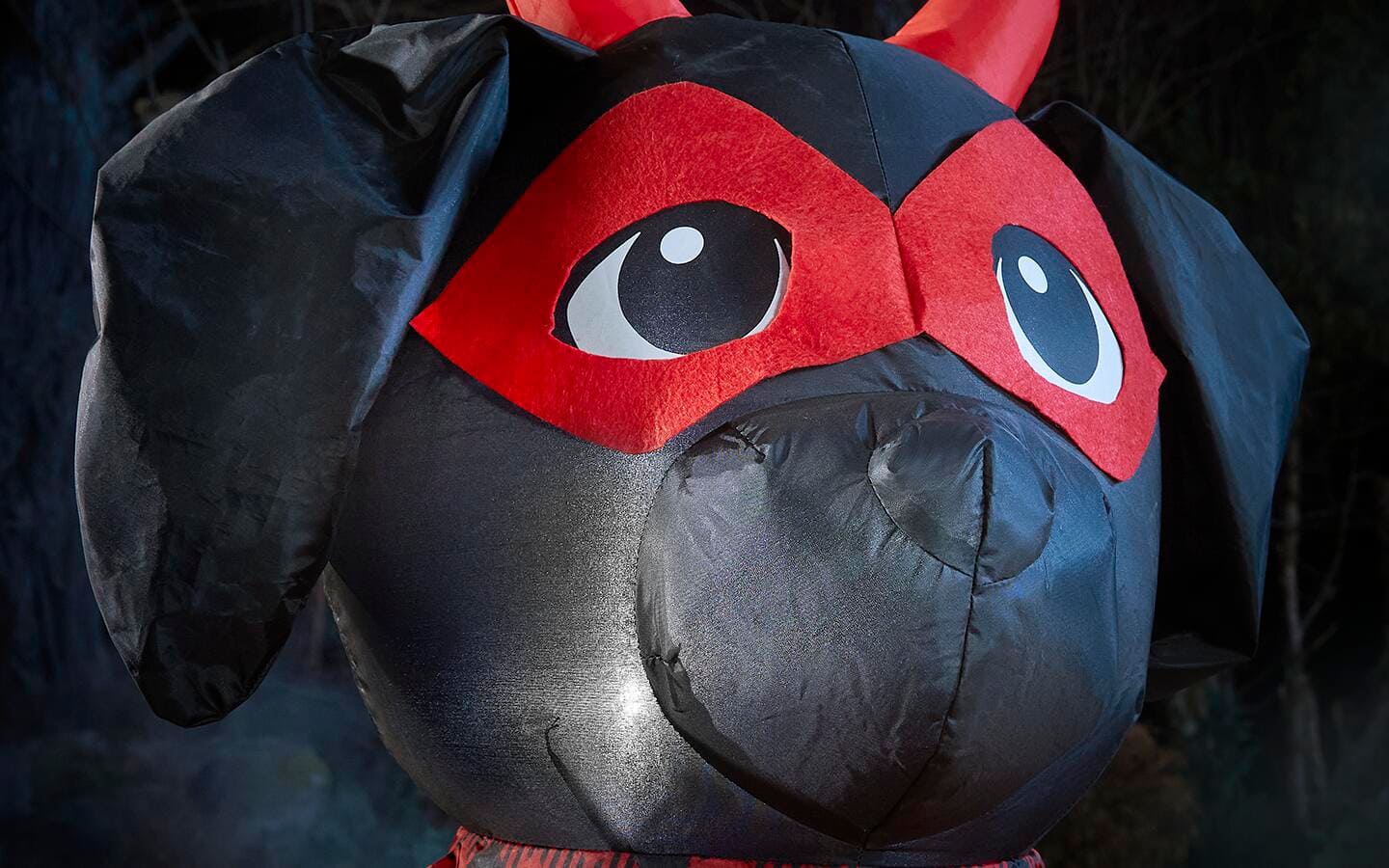 Close up of inflatable dog with Halloween mask. Close up of inflatable dog with Halloween mask.
