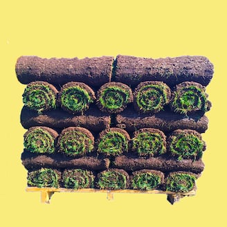 Select Sod Pallets. Contiguous U.S. Only.