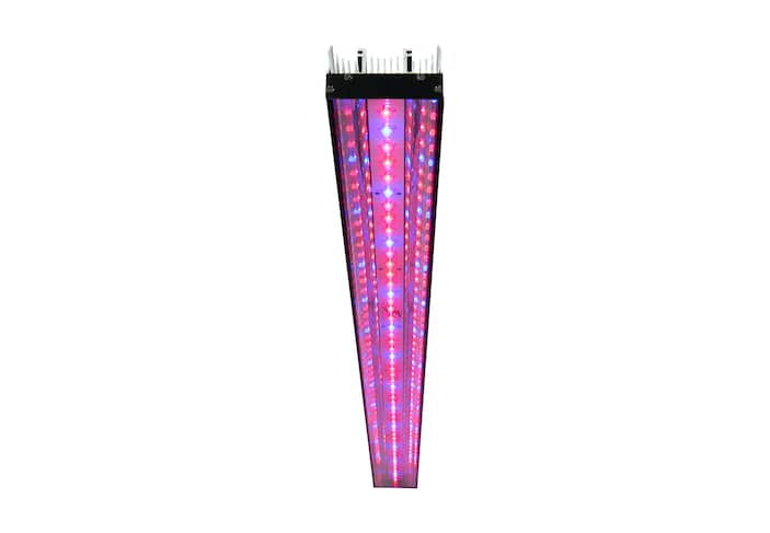 Grow Lights