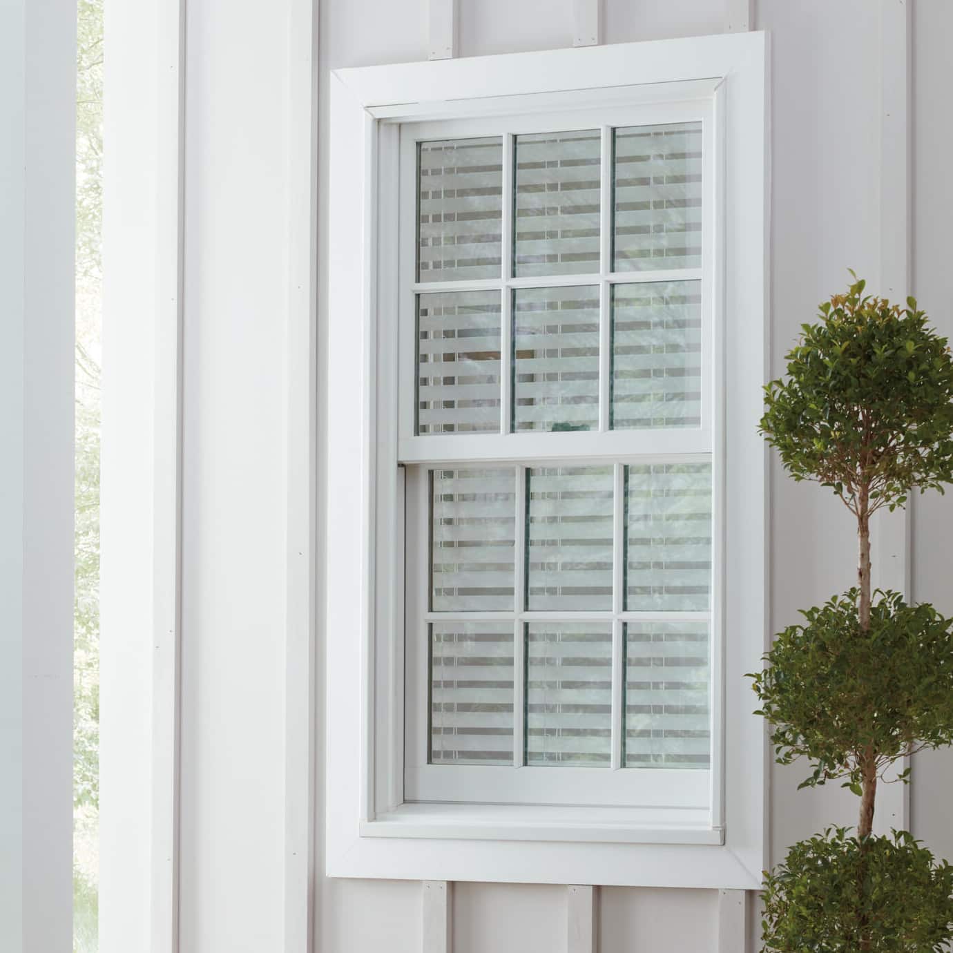 Image for Double-Hung Windows