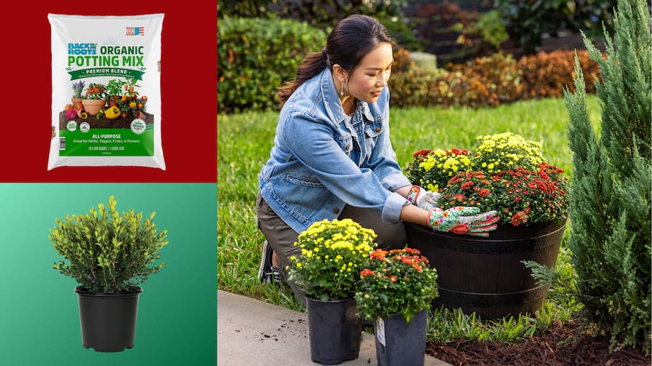 DIG INTO SAVINGS THIS SEASON