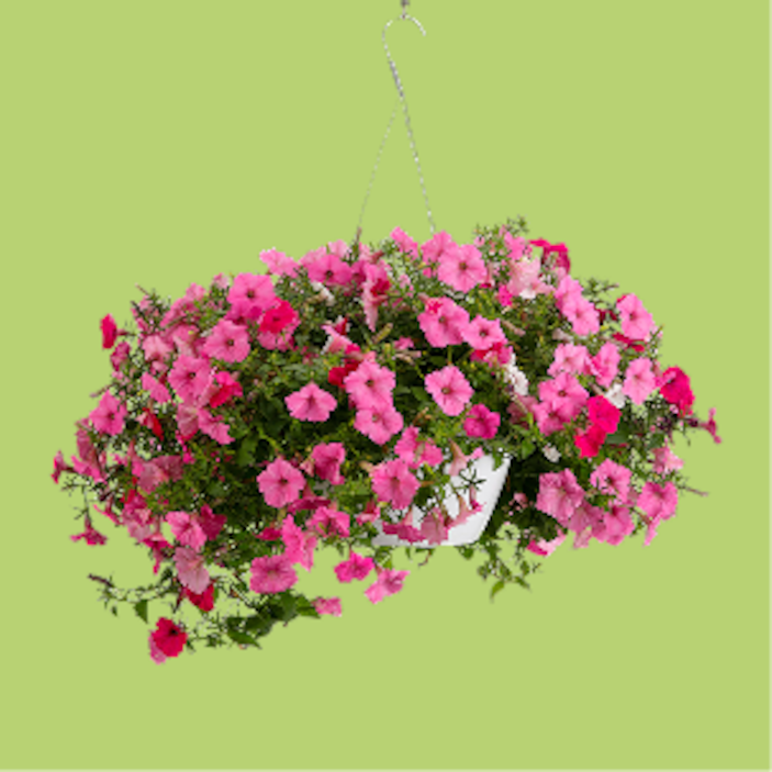 Lawn & Garden