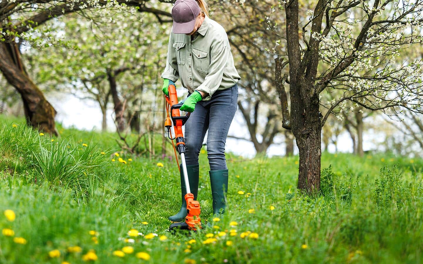 A corded electric string trimmer is being use to cut thick weeds.