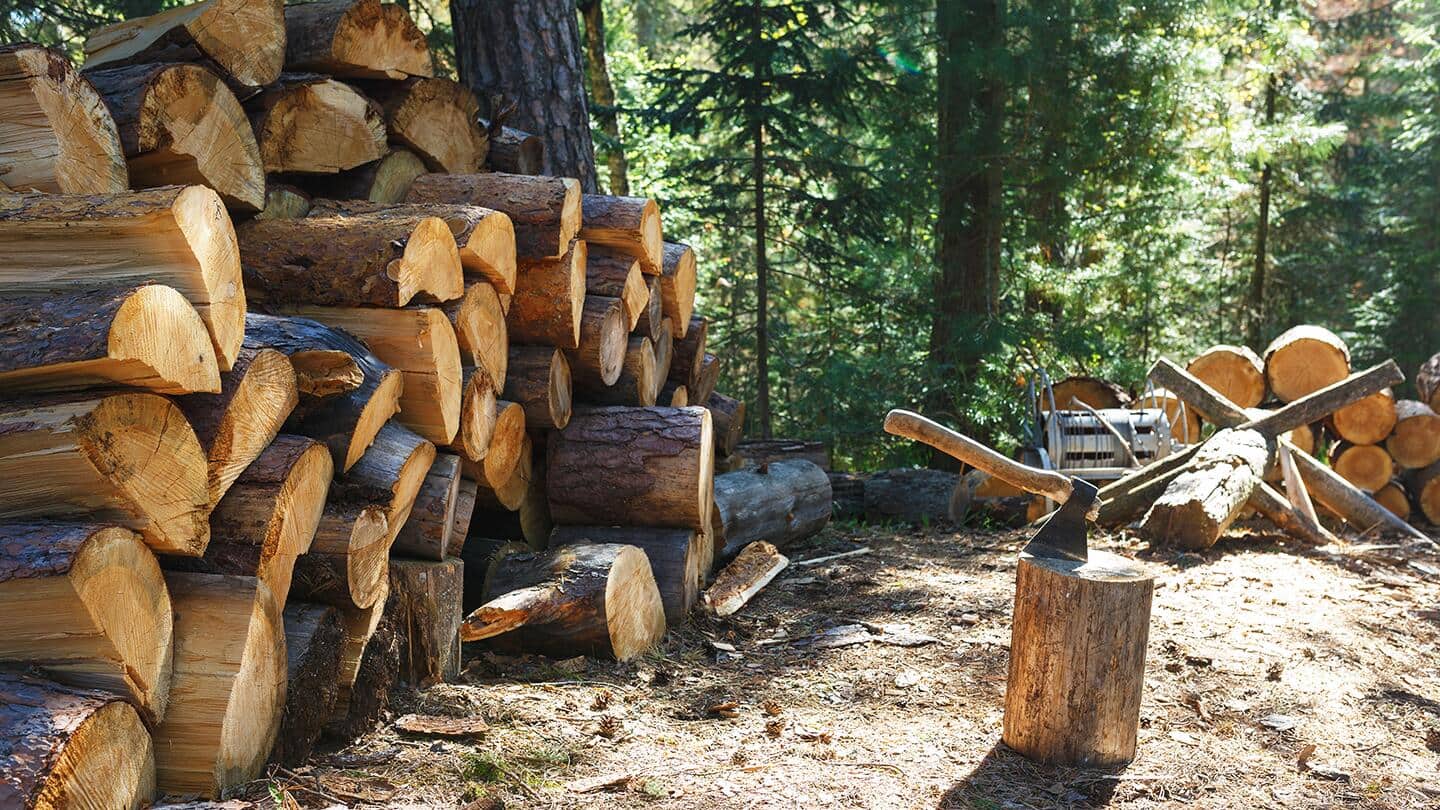An axe is embedded in a log next to a large pile of stacked firewood.