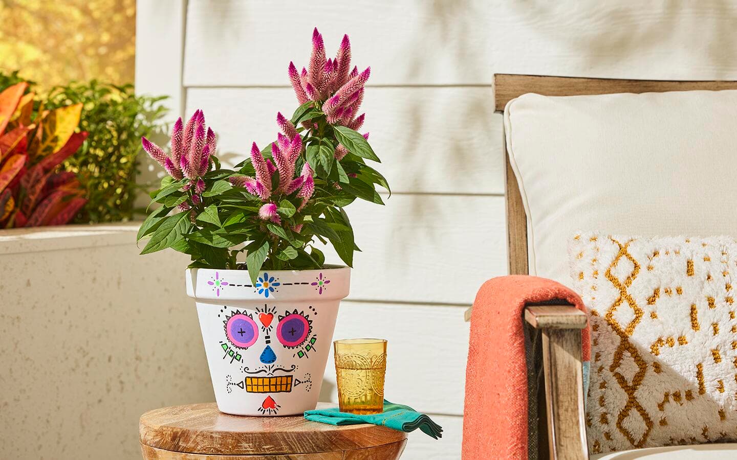 Fresh Flower Buying Guide for Day of the Dead - The Home Depot, image size:1440x900