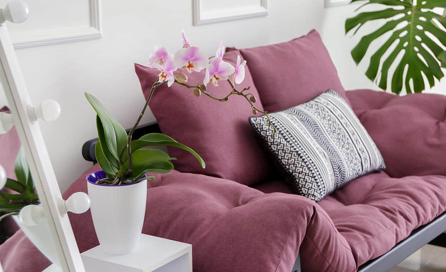 A pink orchid in a living room space A pink orchid in a living room space