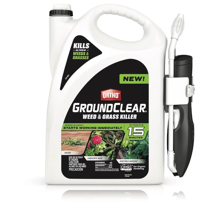 Plant Your Garden The Home Depot