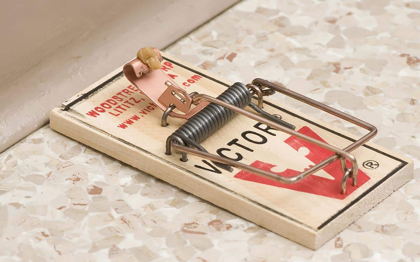 A snap mouse trap with a dollop of peanut butter. A snap mouse trap with a dollop of peanut butter.