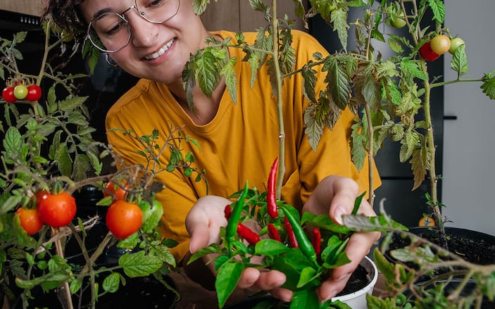 How to Grow Spicy Hot Peppers