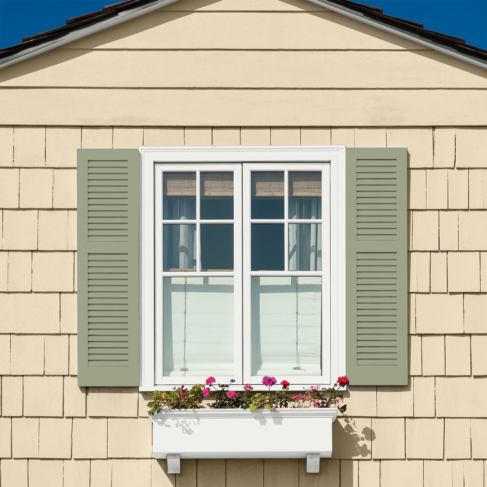 house windows with shutters