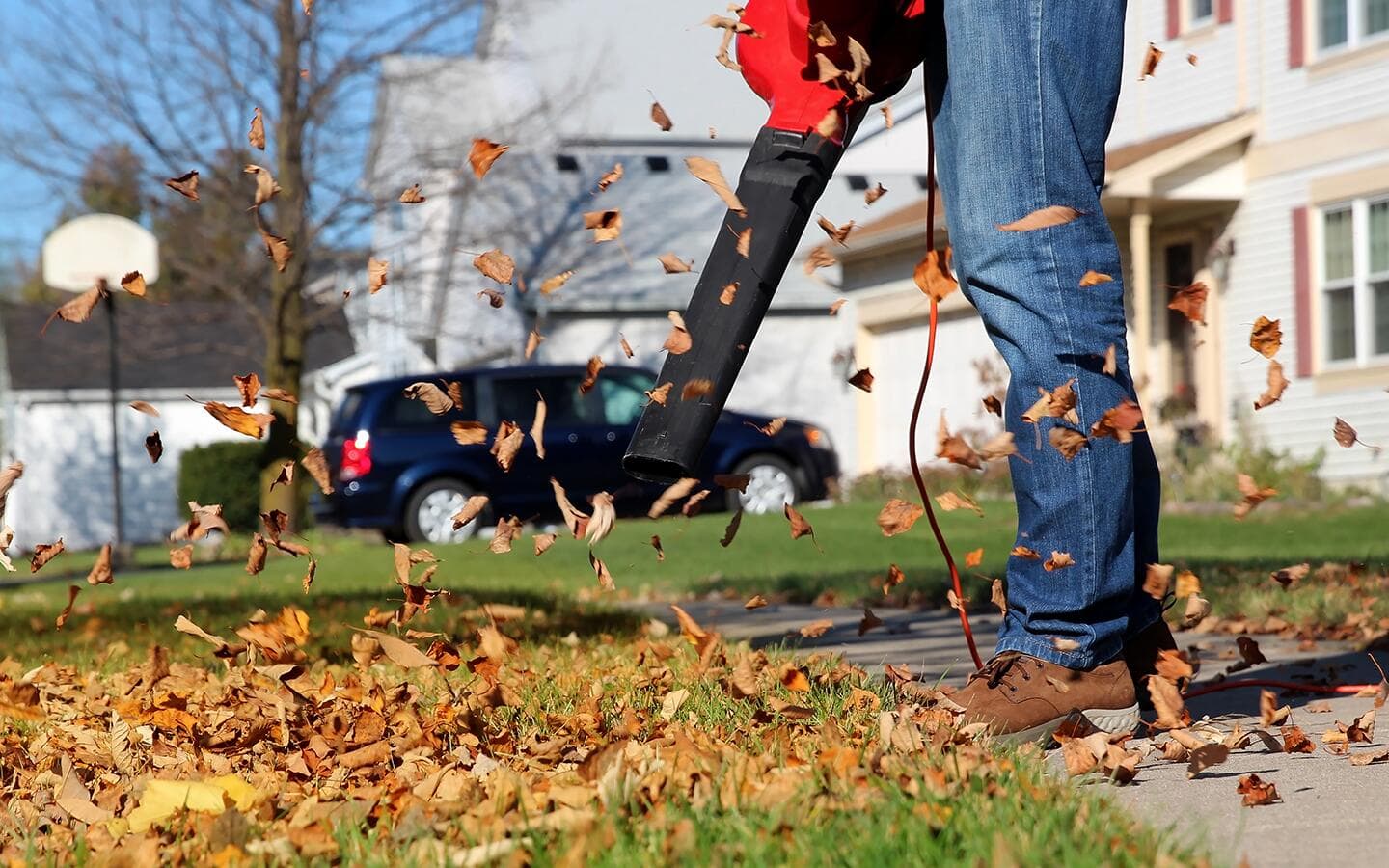 A person using a cordless leaf blower to blow leaves into a pile. A person using a cordless leaf blower to blow leaves into a pile.