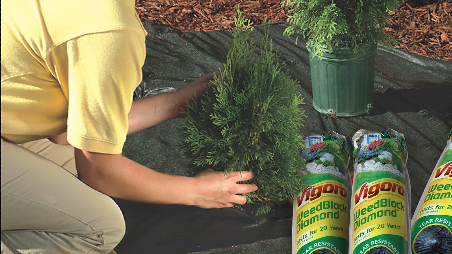 How to Use Landscape Fabric