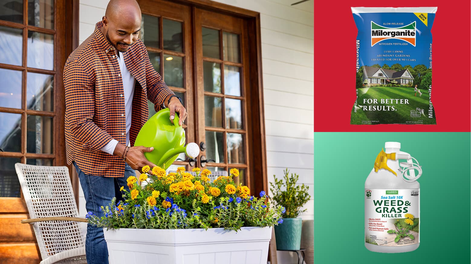 Image for DIG INTO ORGANIC LAWN CARE 