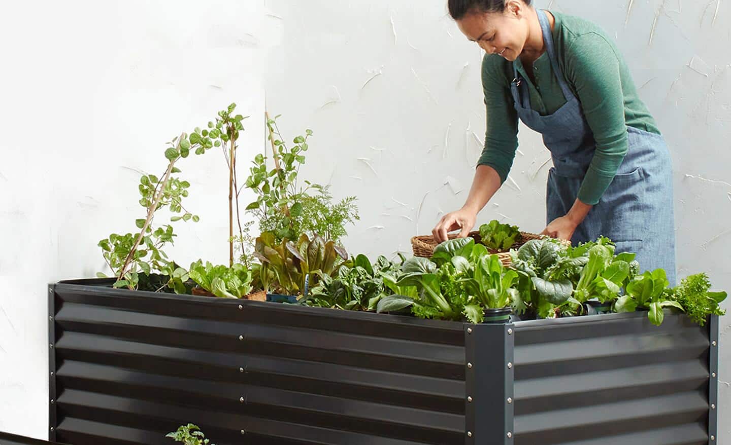 A person tending to greenery that are inside a black elevated garden bed.