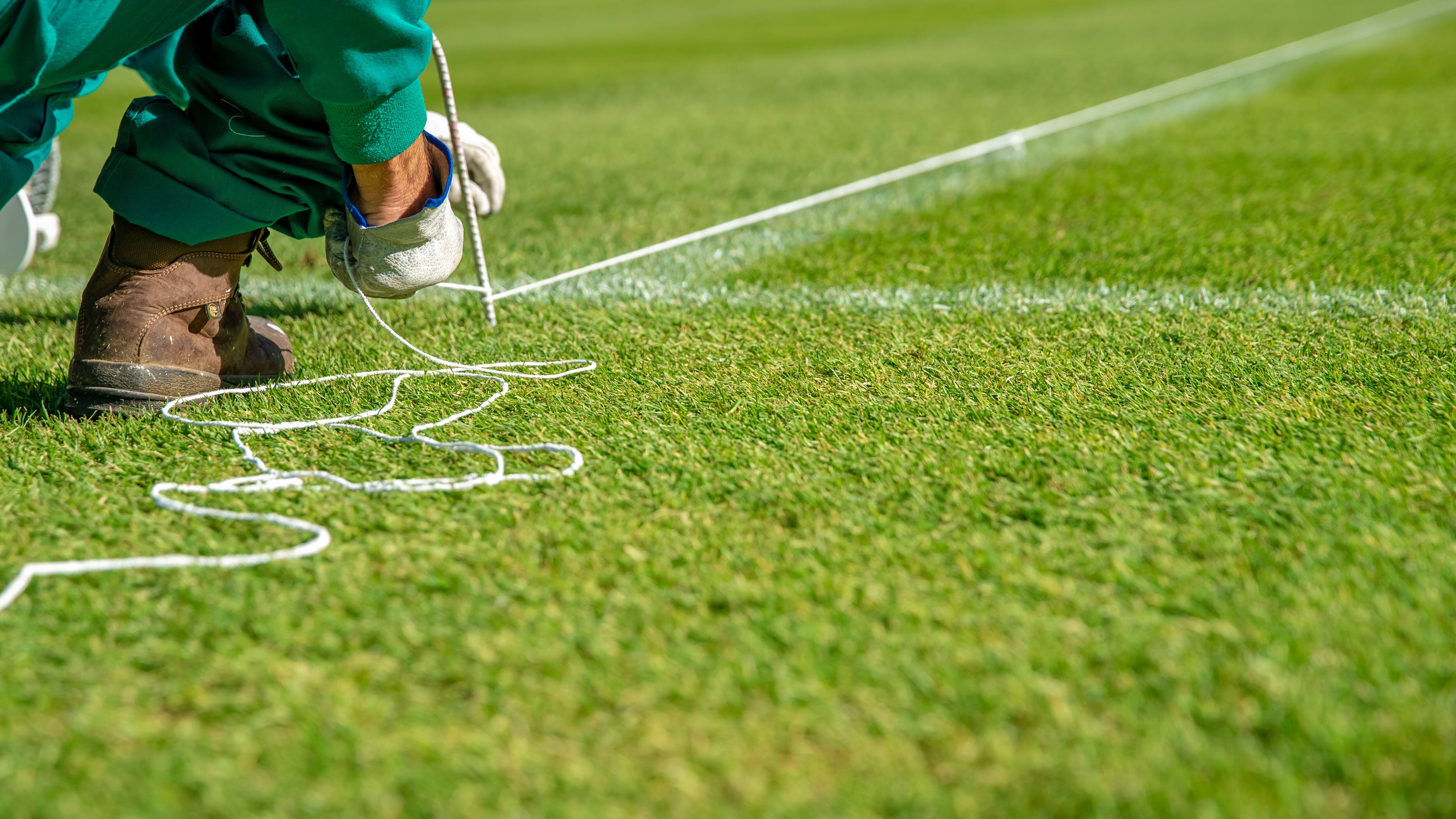 Sports Turf