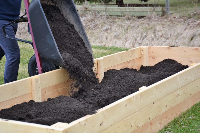 Raised Garden Beds