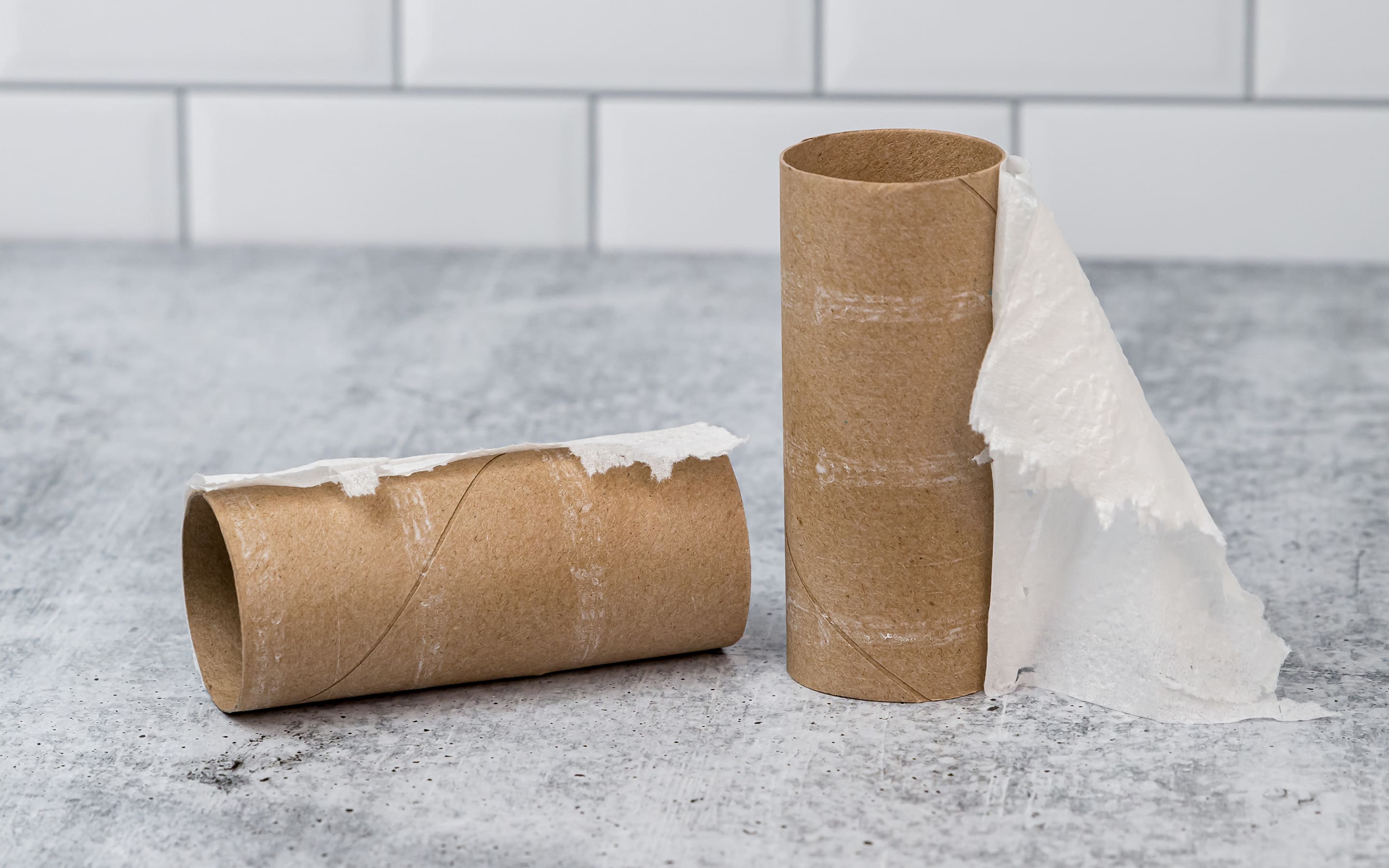 Two empty toilet paper rolls, ready to me made into tick tubes.