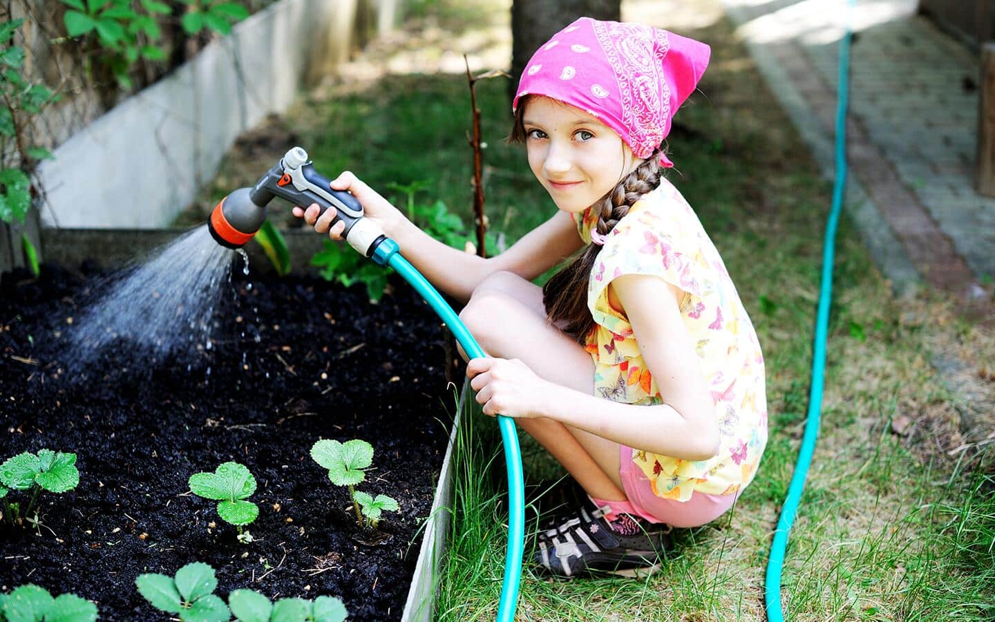 A child uses a garden hose and spray attachment to water garden plants A child uses a garden hose and spray attachment to water garden plants