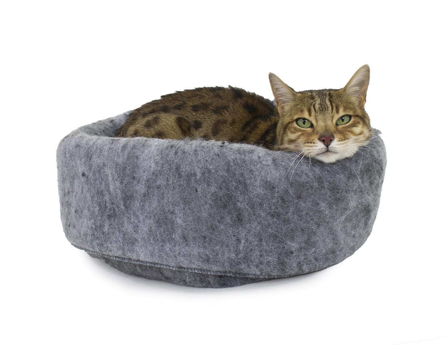 Pet supplies top at home depot