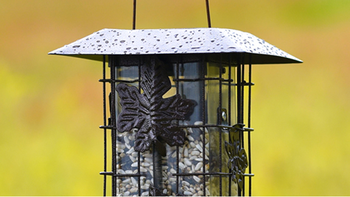 Squirrel-Resistant Bird Feeders Squirrel-Resistant Bird Feeders