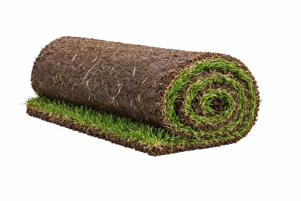 Sod Roll