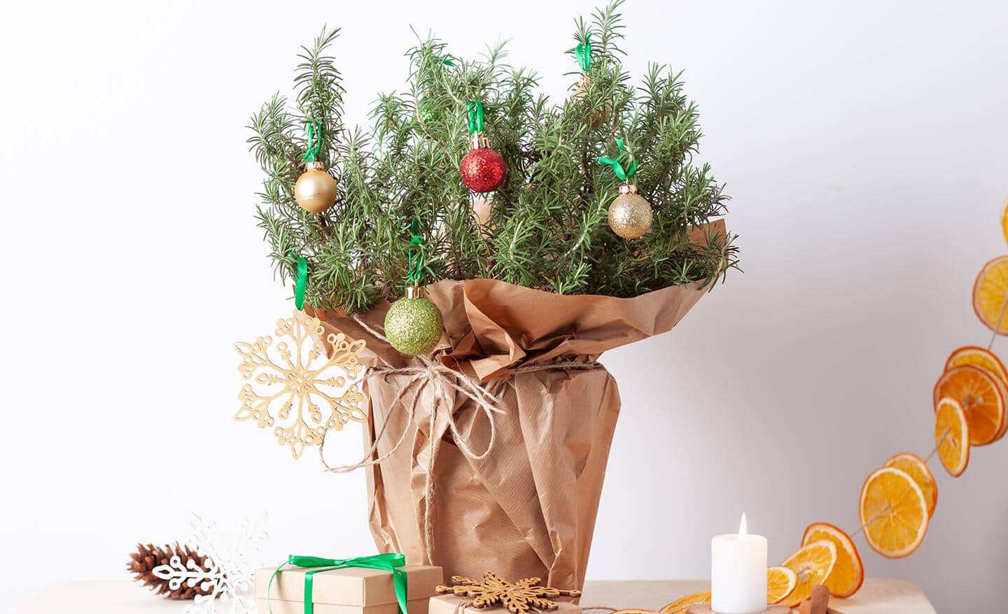 Rosemary shrub with ornaments in a rustic Christmas wrap
