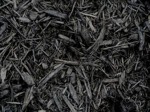 Image for Shop Black Mulch