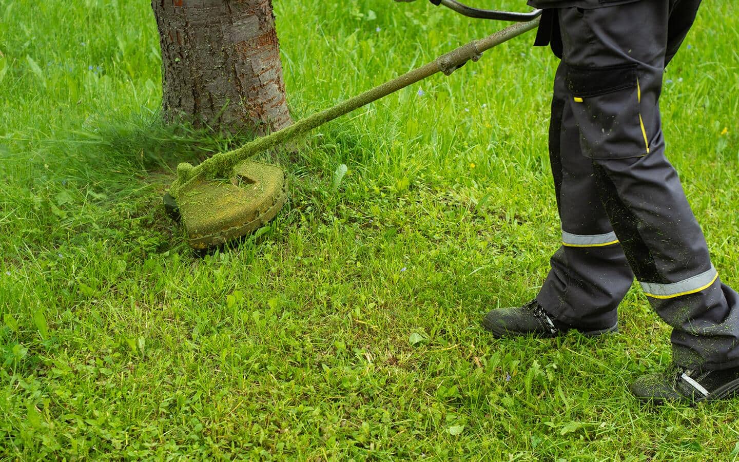 A person cutting weeds along a walkway with a string trimmer. A person cutting weeds along a walkway with a string trimmer.