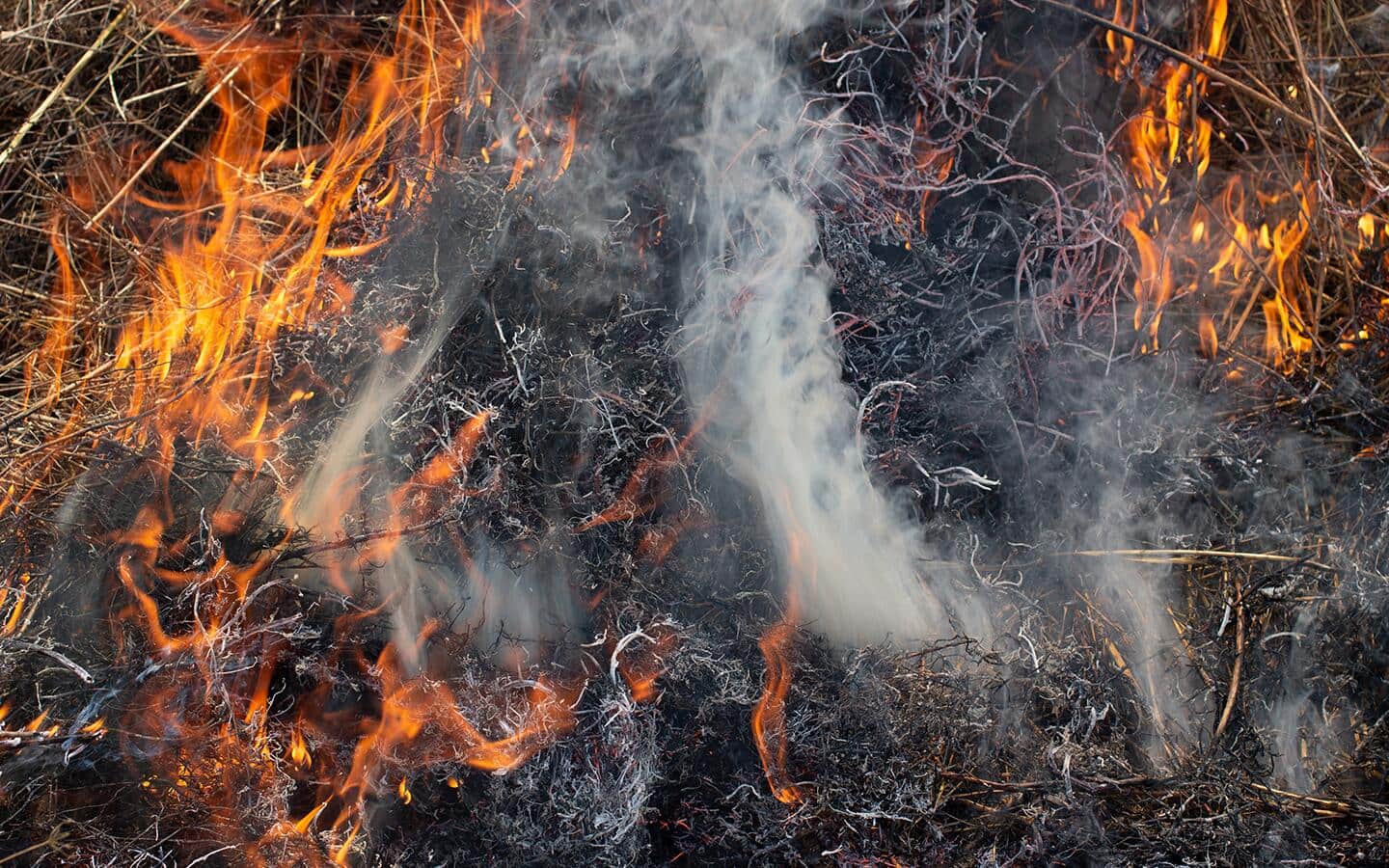 Flames and smoke rising from a wildfire.
