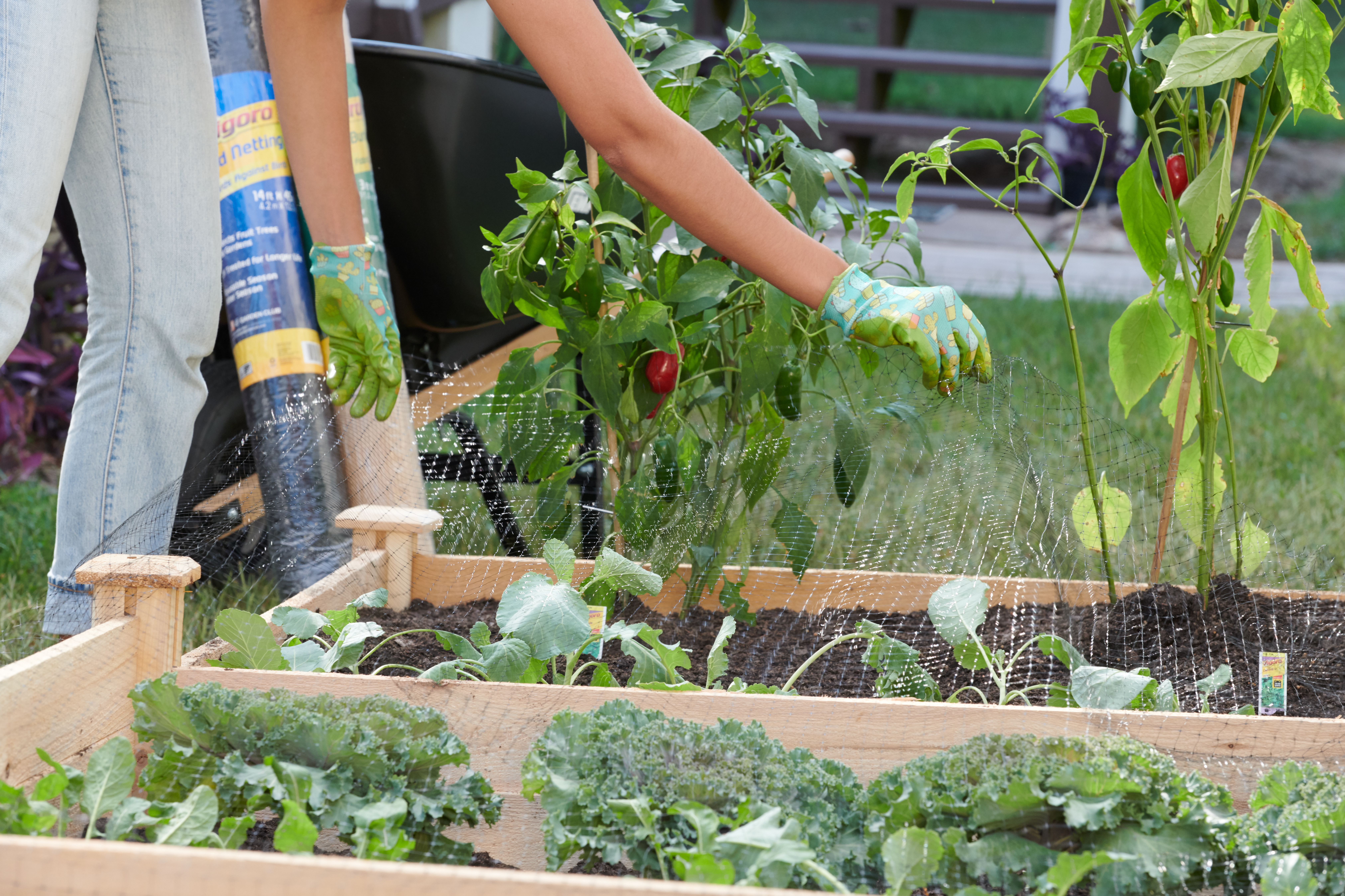 Protect Your Garden with Vigoro Gates & Netting