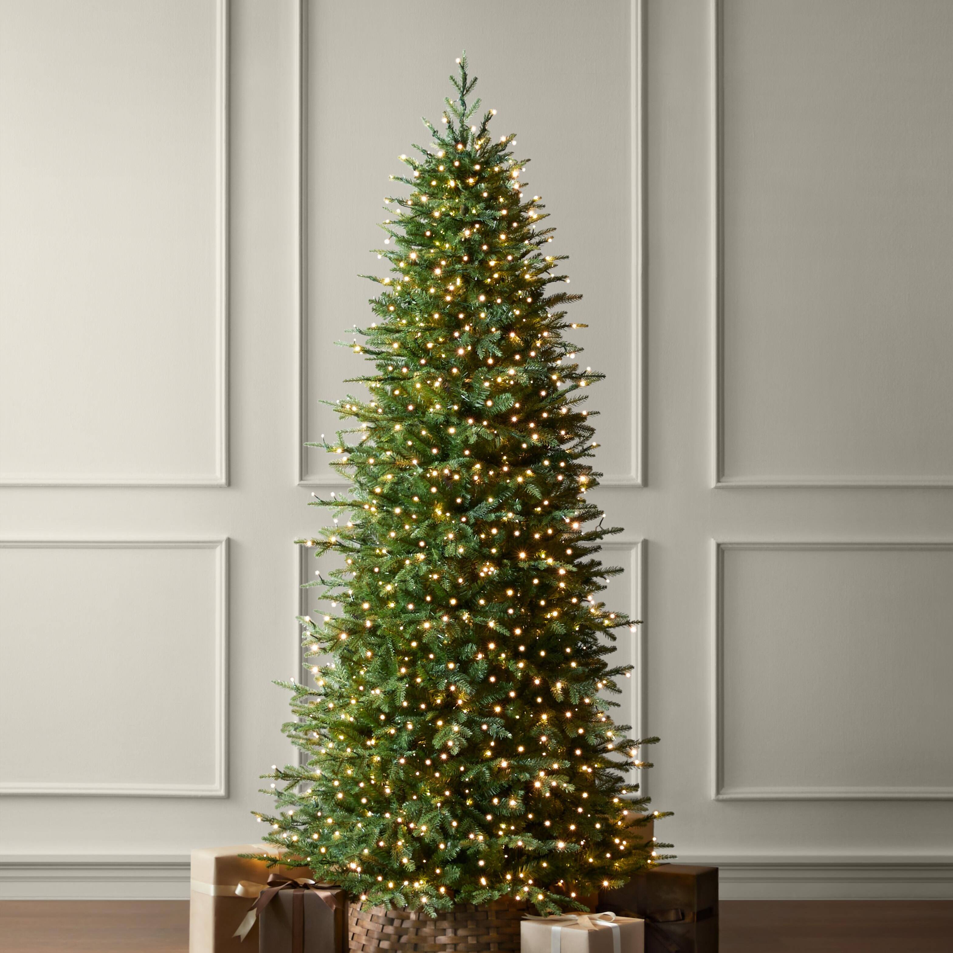 Christmas Trees