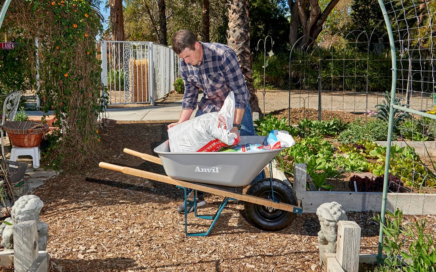 A man adds a bag of soil to a wheelbarrow parked next to raised garden beds.
