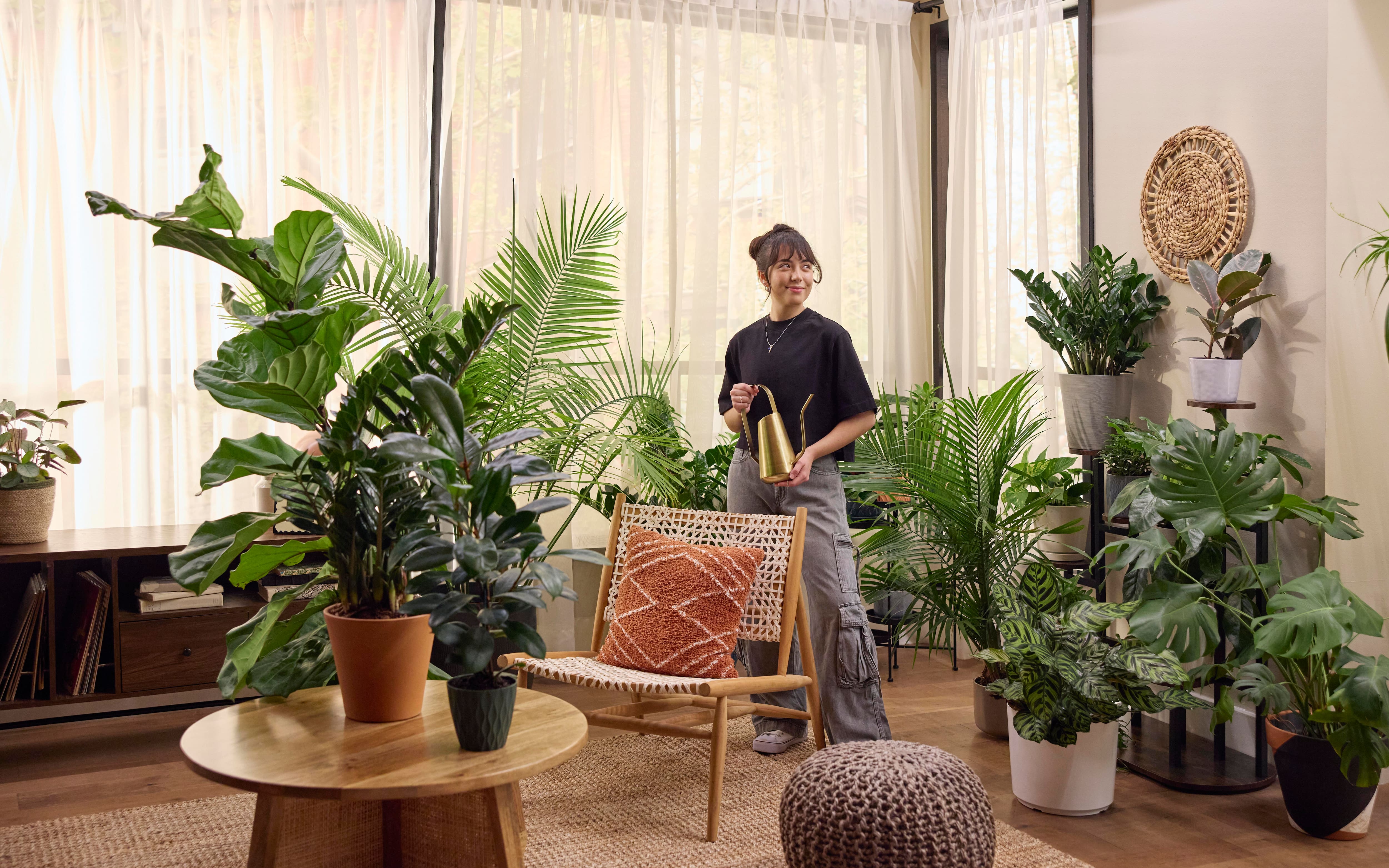 Image for MAKE YOUR HOME & OFFICE GREENER