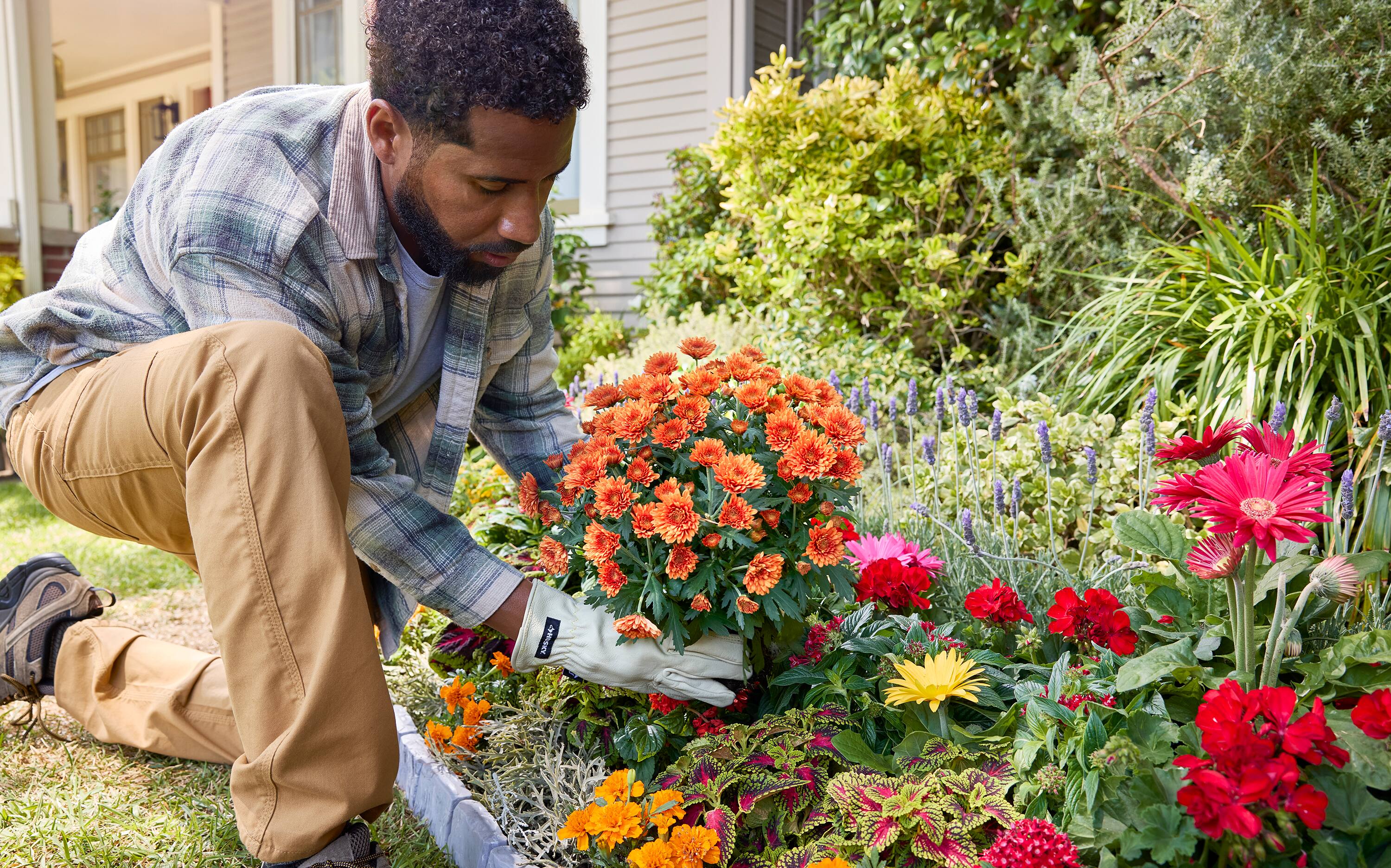 MAKE YOUR GARDEN BURST WITH COLOR