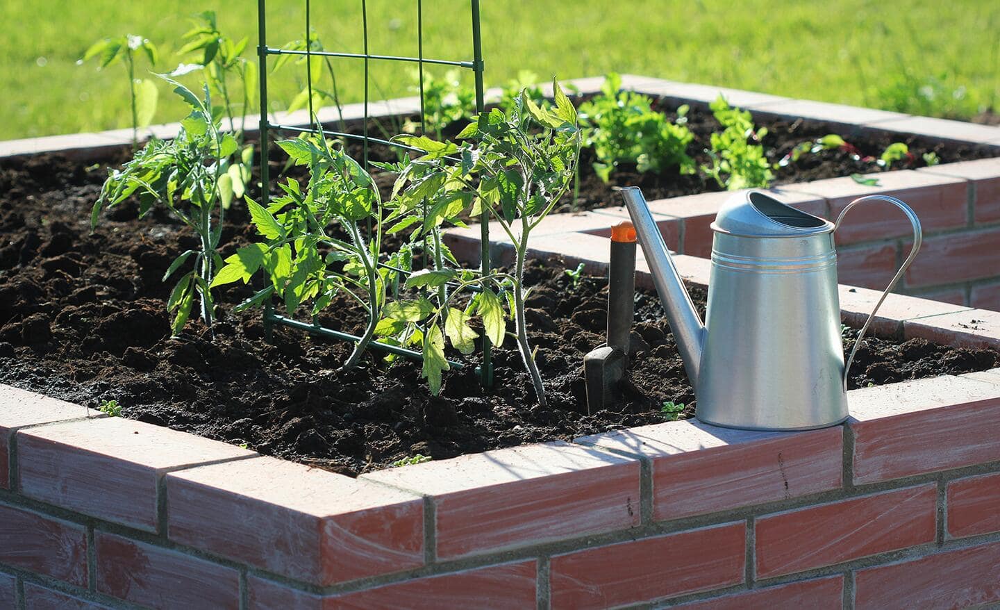 A DIY garden bed made out of bricks and full of plants or herbs sitting in a yard with a watering can placed on top. 