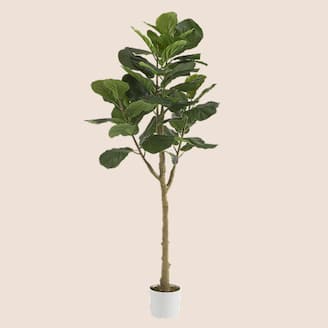Select Home Decor