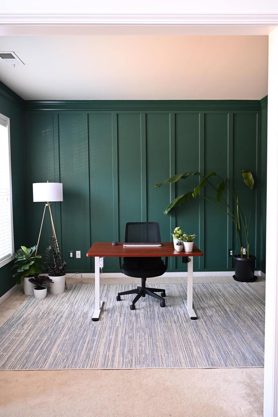 The office after the renovations, featuring a dark green moody wall, a desk in the center of the room with plants surrounding the room’s perimeter. An area rug covers the floor and helps to divide up the office into purposeful sections.