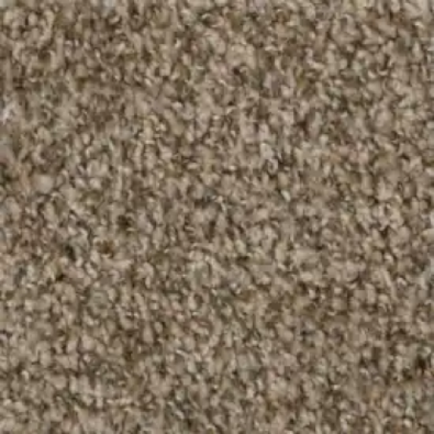 Carpet