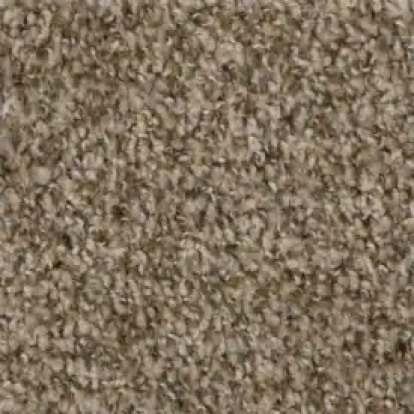 Carpet Carpet