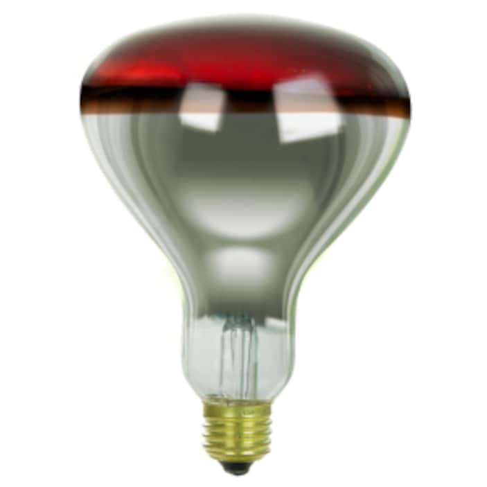 Image for Heat Lamp Bulbs