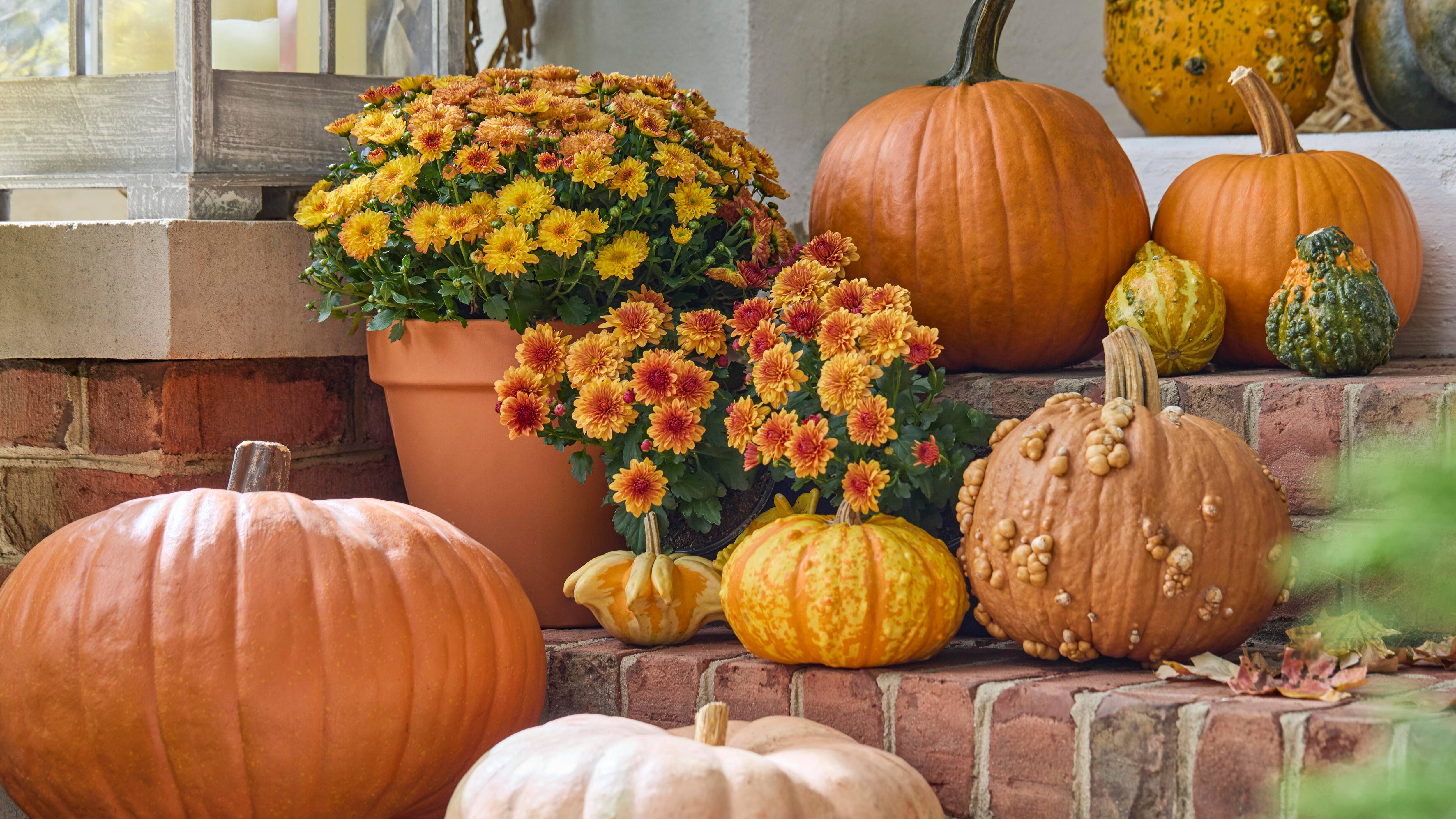 Fall Decorations