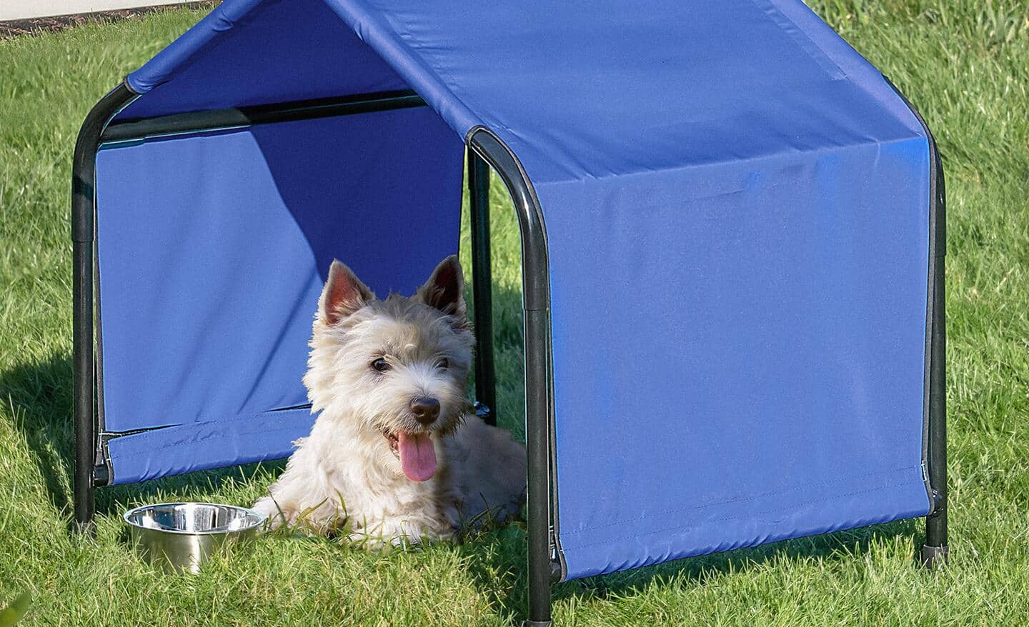 A dog rests under a shade structure in a yard A dog rests under a shade structure in a yard