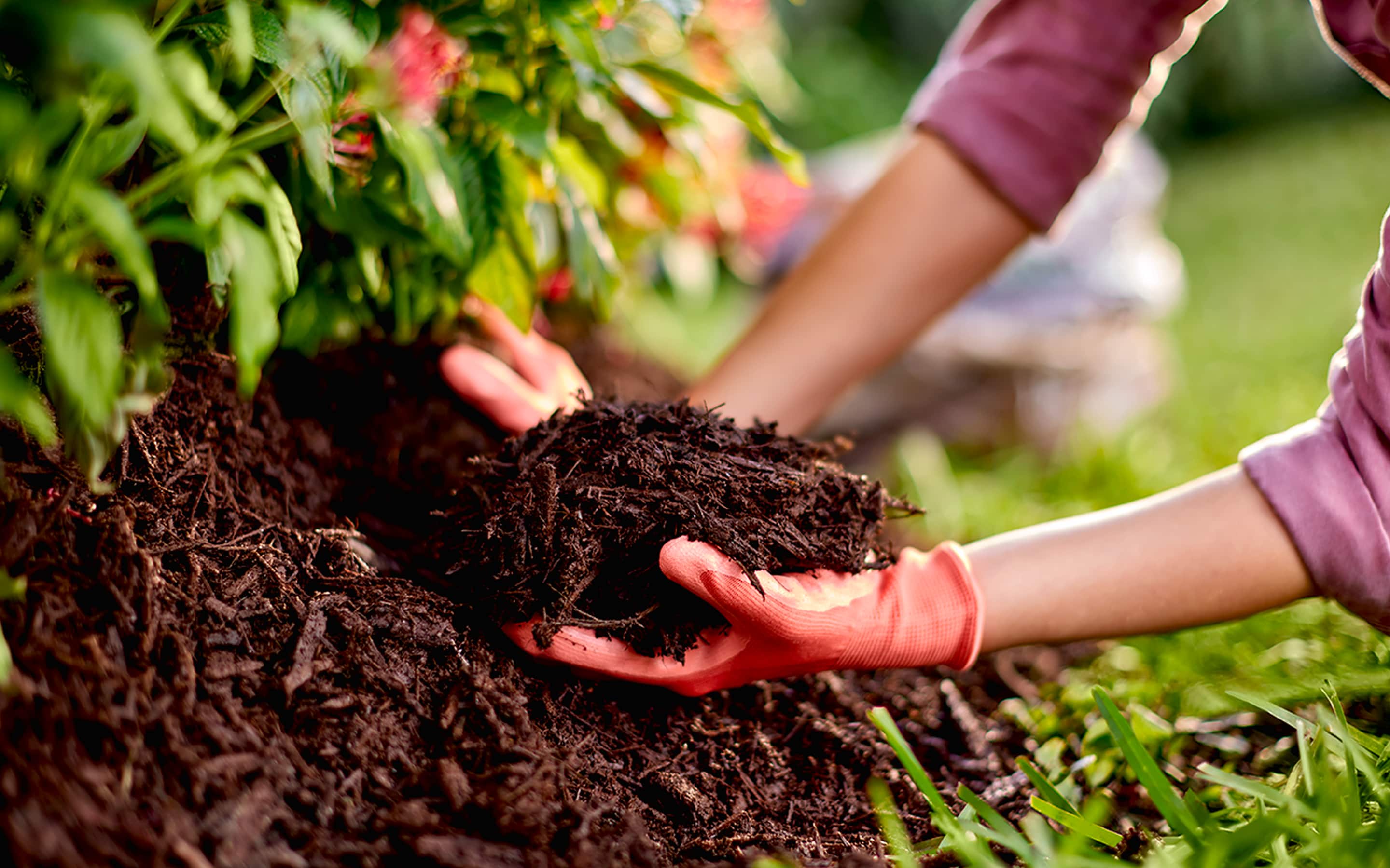 A mulch barrier is created around the edge of a yard.