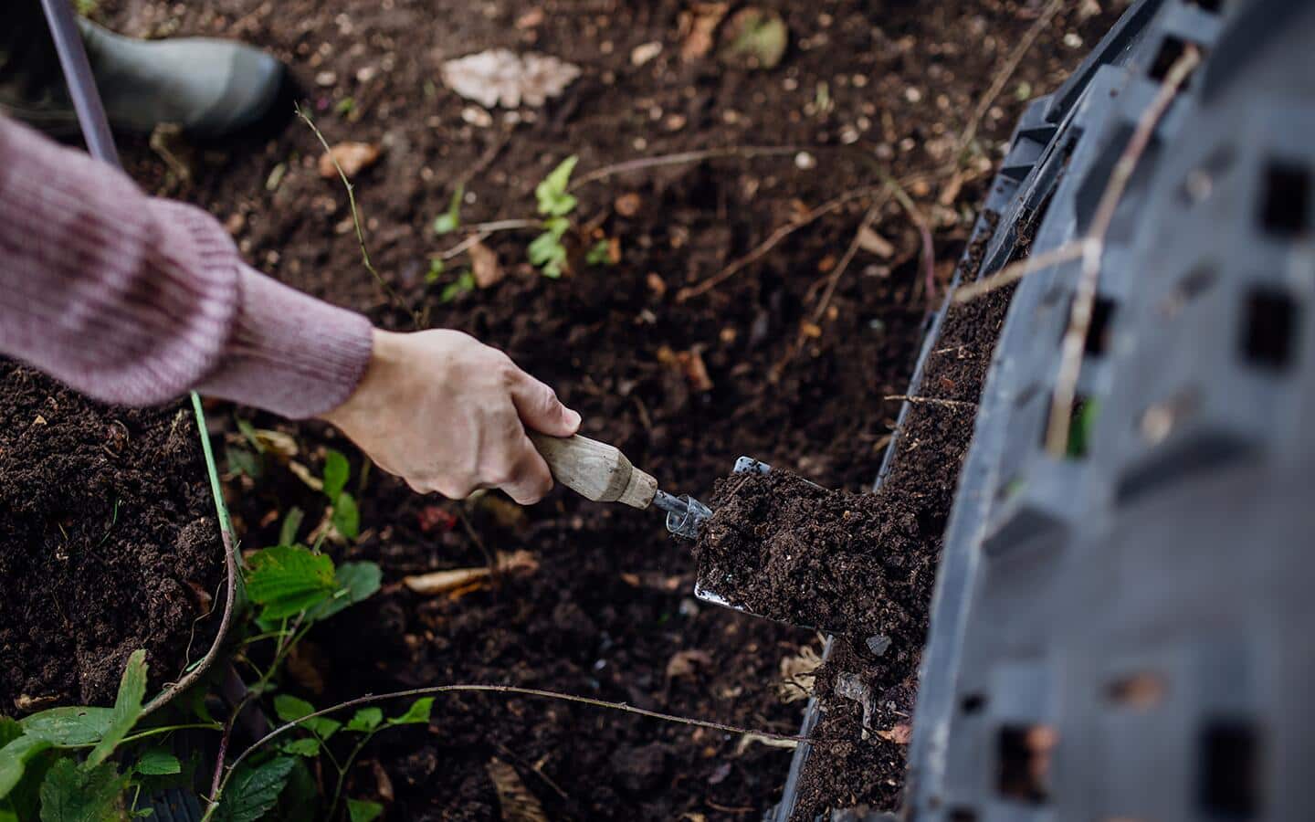 Gardener uses a trowel to dig into soil Gardener uses a trowel to dig into soil