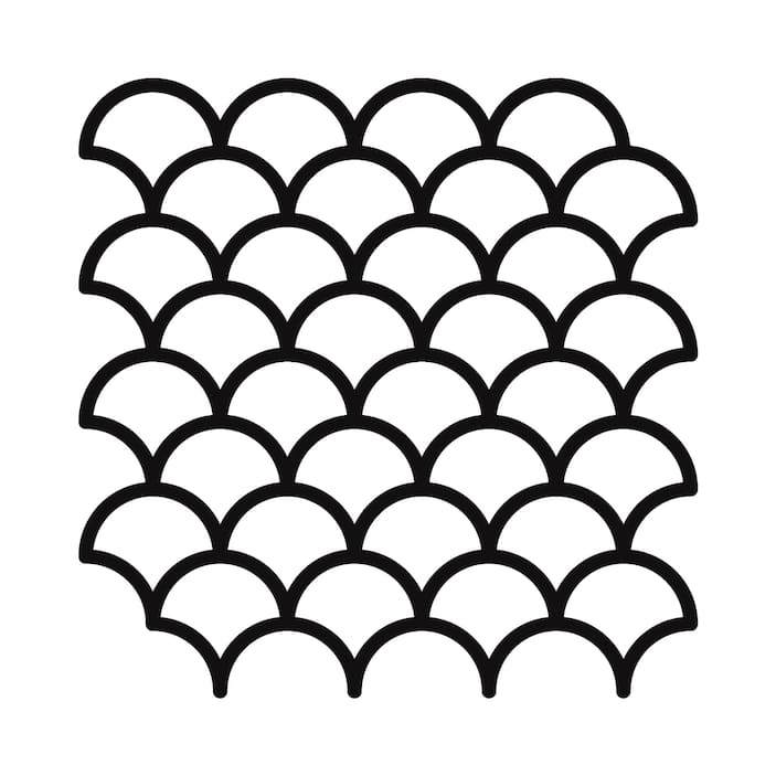 Fish Scale