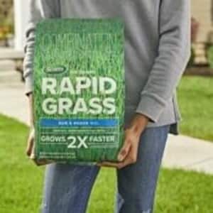 Image for Shop Grass Seed
