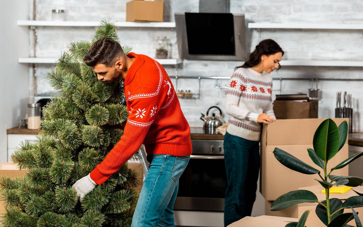 A man and woman setting up a Christmas tree for decoration.