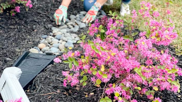 Top 6 Gardening Supplies You Need This Year